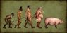 evolution.JPG