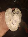 IMG_20220305_002237879.jpg