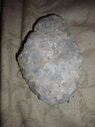 IMG_20220304_135340183.jpg