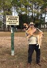dog.jpg