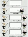 FB_IMG_1659639978479.jpg