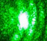 Wave pattern 2 - LQ.jpg