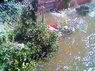 Local flooding 2.jpg
