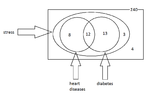 venn diagram.png