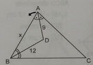 triangle.jpg