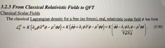 Lagrangian density classical relativistic field.jpg