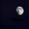 steath with moon.jpg