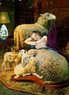 sheep.jpg