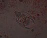 DSCN7901.JPG