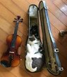 CatInstrument.jpg
