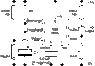 555mono.gif
