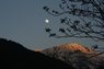 IMG_4423 mod.JPG