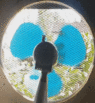 fan.gif