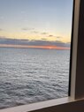 IMG_2029.jpeg