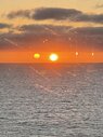 IMG_2034.jpeg