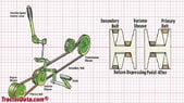 22-diagramxt1-960x540.jpg