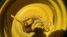 30052011013.jpg