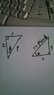 mms_img50368.jpg