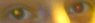 eyes1.jpg