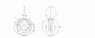 Animated Torbus Loci.jpg