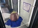 IMG_3416.jpeg