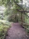IMG_20240829_134428_373.jpg