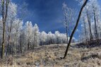 aDSC_0480.jpg