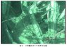 Figure 3 - SFP underwater situation.jpg