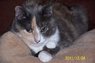 Misty_7563 .JPG