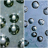 224D0502-4AE4-48E8-A672-D9FC21F5C500.png