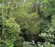 IMG_20250528_172615_658~3.webp