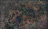 median-crop-St copy.webp