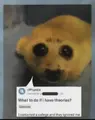 lkx28jw5rg8f1.webp