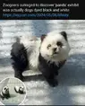 Screenshot_20240507_083259_YouTube.webp