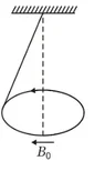 1753015324614.webp