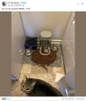 1753921536007.webp