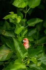 L1010469.webp