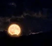 Red Moon.webp