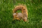 L1020547.webp