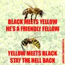 black meets yellow.webp