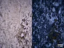 Montage1.webp