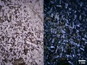 Montage2.webp