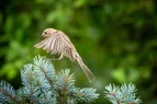 L1010421.webp