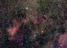 Untitled.webp