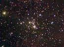 Untitled 3.webp