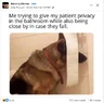 1757432650922.webp