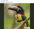 Screenshot 2025-09-09 at 8.27.05 AM.webp