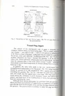 thrd 1_000016.webp
