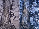 Montage.webp