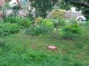 a20250914_072347.webp